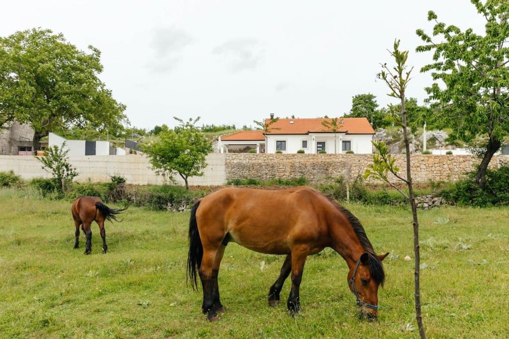 Villa Lozo, Prolozac Gornji Gornji Prolozac Exteriör bild