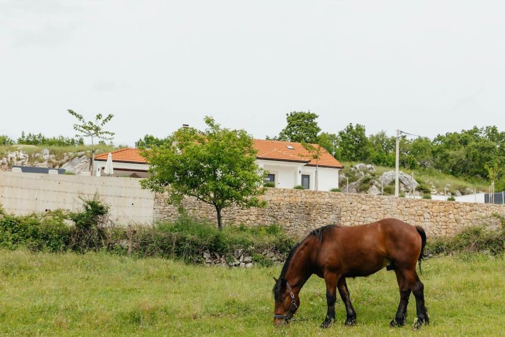 Villa Lozo, Prolozac Gornji Gornji Prolozac Exteriör bild