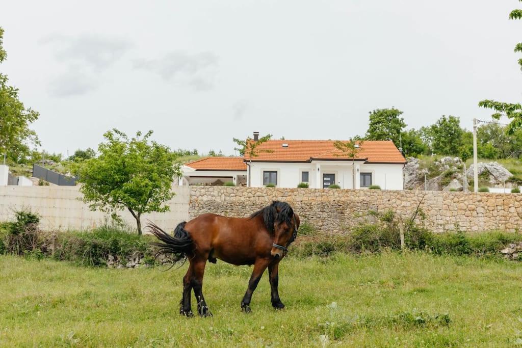 Villa Lozo, Prolozac Gornji Gornji Prolozac Exteriör bild